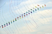 EUROCUP STACK 2011 CERVIA00150